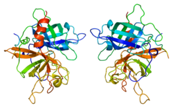 Gewebespezifischer Plasminogenaktivator