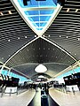 Leonardo da Vinci-Fiumicino Havalimanı