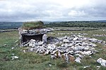 Parknabinnia Wedge Tomb