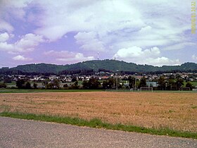 Wettswil am Albis – im Hintergrund der Uetliberg