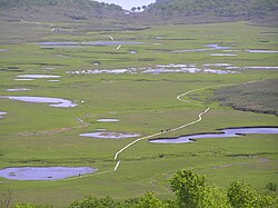 Uryunuma Wetland