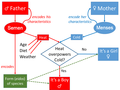 Image 6Aristotle's model of transmission of movements from parents to child, and of form from the father. The model is not fully symmetric. (from History of genetics)