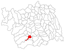 Location in Bacău County