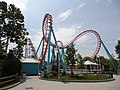 Flying Cobras in Carowinds