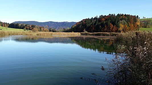 Blick nach Ostnordost über den Froschsee in Richtung Teisenbergkopf (1264 m) im Hintergrund.