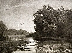 An der Donau (1894)