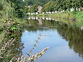 The Lomme River in Rochefort