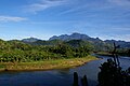 Marojejy Massif and the surrounding forests