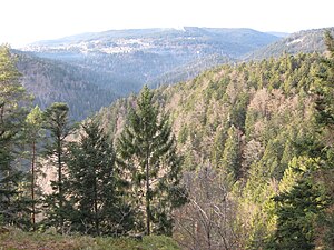 Schwarzatal in dessen Talsohle das Kraftwerk Eichholz lag. Im Hintergrund Häusern und die Stahlrohre vom Schwarzastollen zum Kraftwerk Häusern.