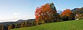 Stiška Vas in autumn