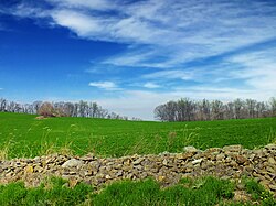 A field in the township