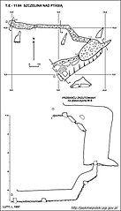 Plan jaskini