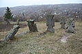 Cossack Cemetery in the forest