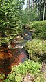 Wilder Flussverlauf am Ochsenkopf