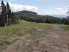 Widok na szczyt Bukoviny od zachodniej strony