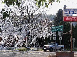 Dellroy is decorated each Halloween.