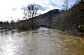 Donau Hochwasser