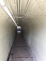 Transfer tunnel