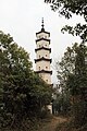 Fabao Xianglong Pagoda (发宝象龙塔)