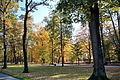 Hofgarten im Herbst