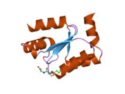 2fls: Crystal structure of Human Glutaredoxin 2 complexed with glutathione