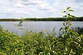 Natuurgebied Theikenmeer (250 ha) ten W van Werlte