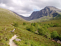 Ben Nevis, a montane system