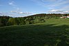 Dillenberg über den Häusern der Siegfriedsiedlung am östlichen Ortsrand Oberreifenbergs.