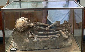Skelett aus der El-Wad-Höhle (ausgestellt im Rockefeller Museum in Jerusalem)