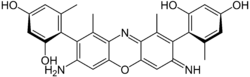 γ-Amino-orceinimin