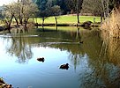 Der namengebende Weiher