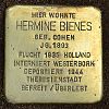 Stolperstein Sophienstraße 12 Bienes Hermine