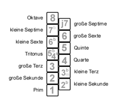 Schema