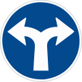 C 2f: Turn left or right only