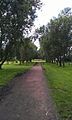 The Roman road running through Flag Fen