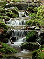 Wassertreppen im Hörschbachtal