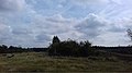 Uitzicht vanaf ecoduct naar Bussumerheide