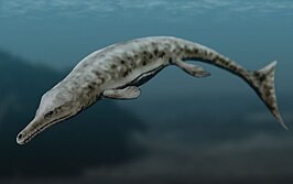 Neptunidraco