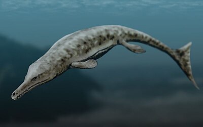 Life restoration of the Middle Jurassic metriorhynchid Neptunidraco.