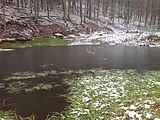 Der obere Schwanenweiher im Winter