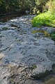 Steinlach in Ofterdingen mit Schneckenpflaster