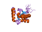 2htf: The solution structure of the BRCT domain from human polymerase reveals homology with the TdT BRCT domain