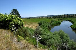 De Pit-rivier bij Alturas