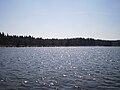 Budachi lake near sanatorium "Borovoe"