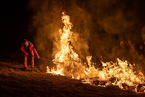 12. Platz: Superbass mit Winteraustreibung „Schewe Sunnesch“ in Gees (Gerolstein), Rheinland-Pfalz