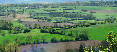 Bocage-Landschaft in den Hügeln des Boulonnais