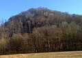 Wenn die Bäume kein Laub tragen, kann man die Ruine im Wald erkennen