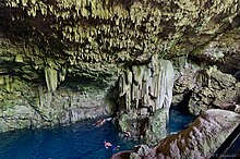 Vista del interior del cenote en donde se ven personas nadando.