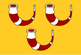 ? Vlag van Kinrooi