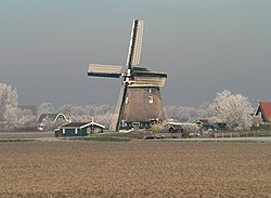 The windmill in Groenveld